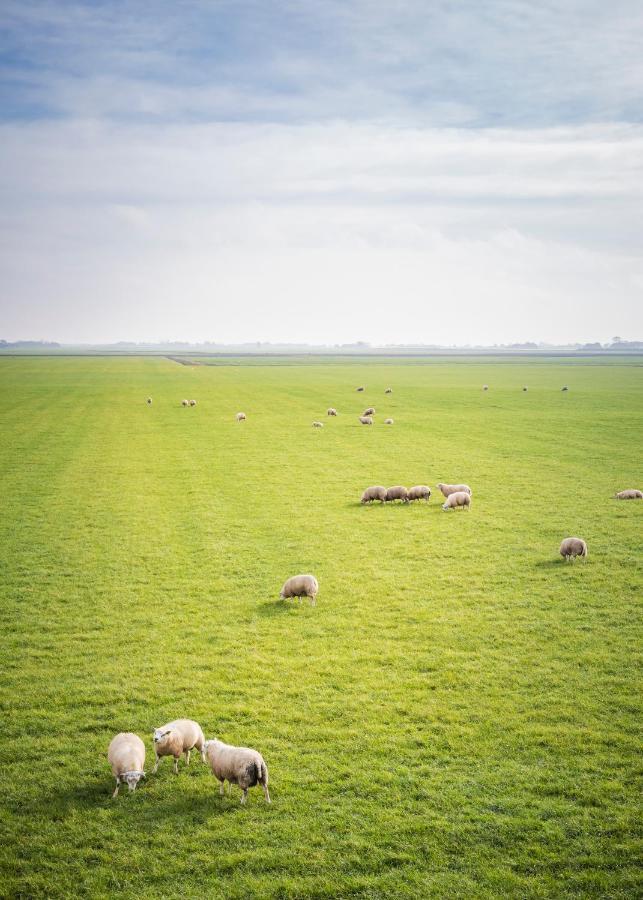 Ollediek Houwerzijl المظهر الخارجي الصورة