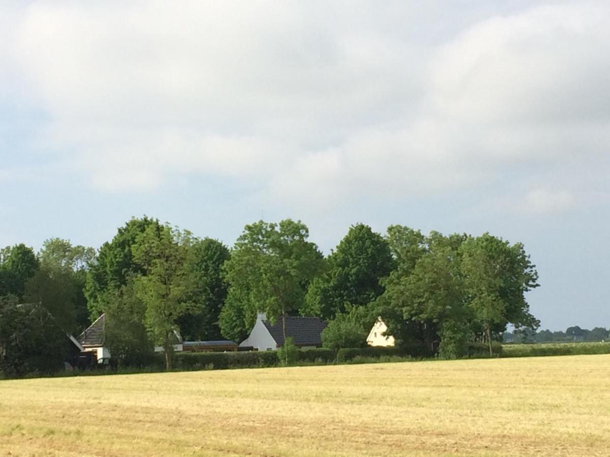 Ollediek Houwerzijl المظهر الخارجي الصورة