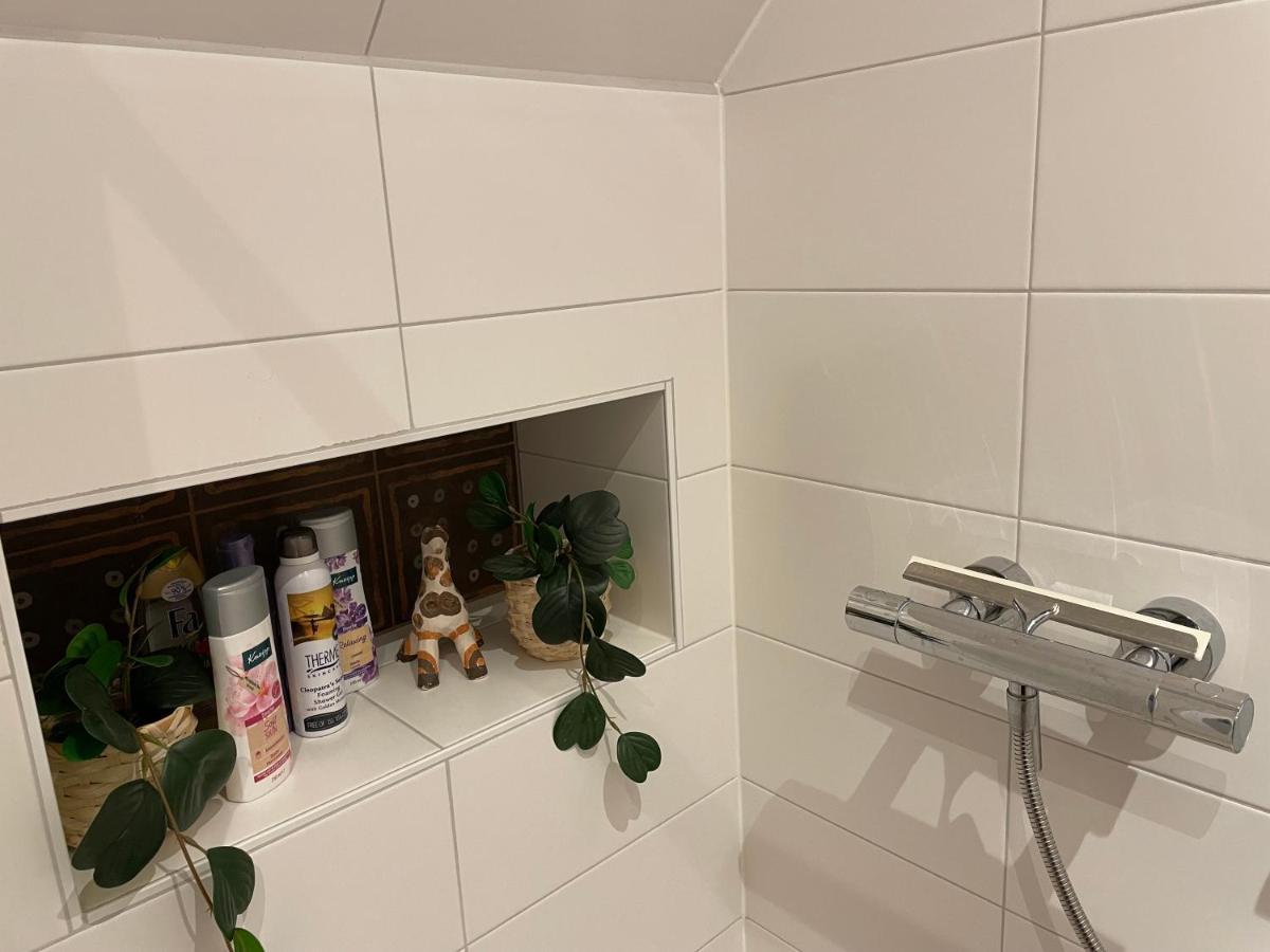 Ollediek Houwerzijl المظهر الخارجي الصورة