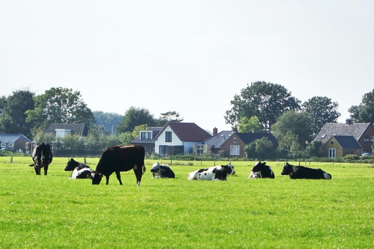 Ollediek Houwerzijl المظهر الخارجي الصورة