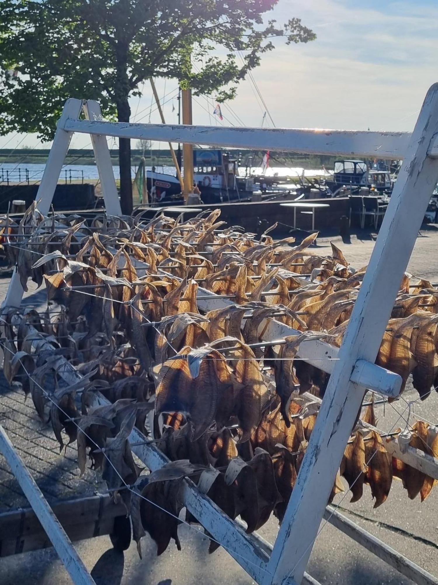 Ollediek Houwerzijl المظهر الخارجي الصورة